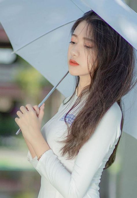 韩国伦理视频